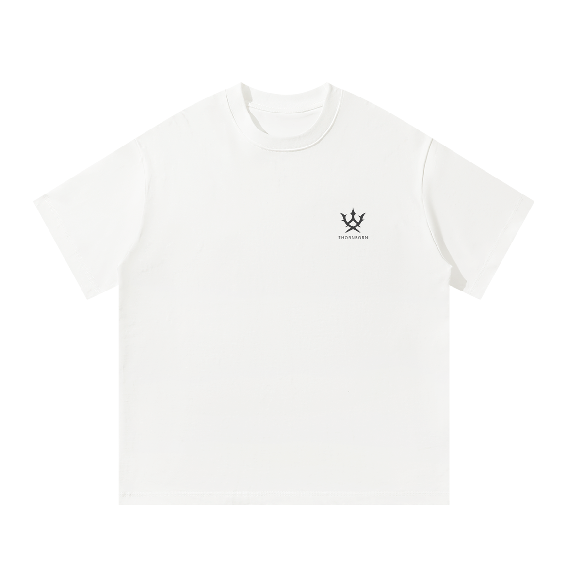 Unisex Oversized T-Shirt