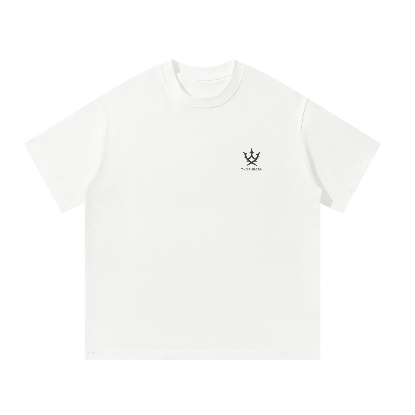 Unisex Oversized T-Shirt